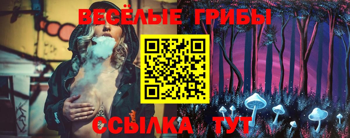 Галлюциногенные грибы Cubensis  Псилоцибиновые грибы прущие грибы  Кореновск  Вход с VPN 