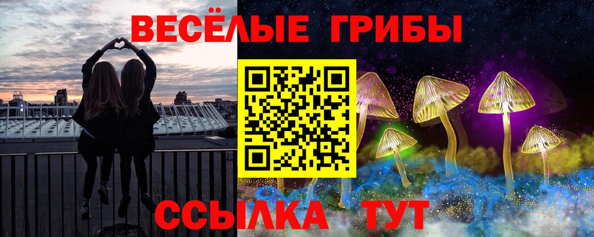 Галлюциногенные грибы Psilocybe Кореновск