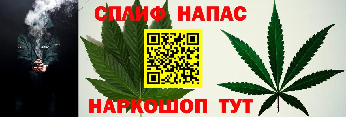 Бошки Шишки сатива Кореновск